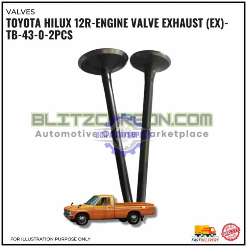Exhaust Valve (EX)-Toyota Hilux 12R-TB-43-0