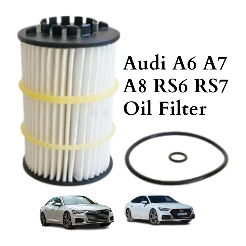 Audi A6 A7 A8 RS6 RS7 Oil Filter (079198405D)