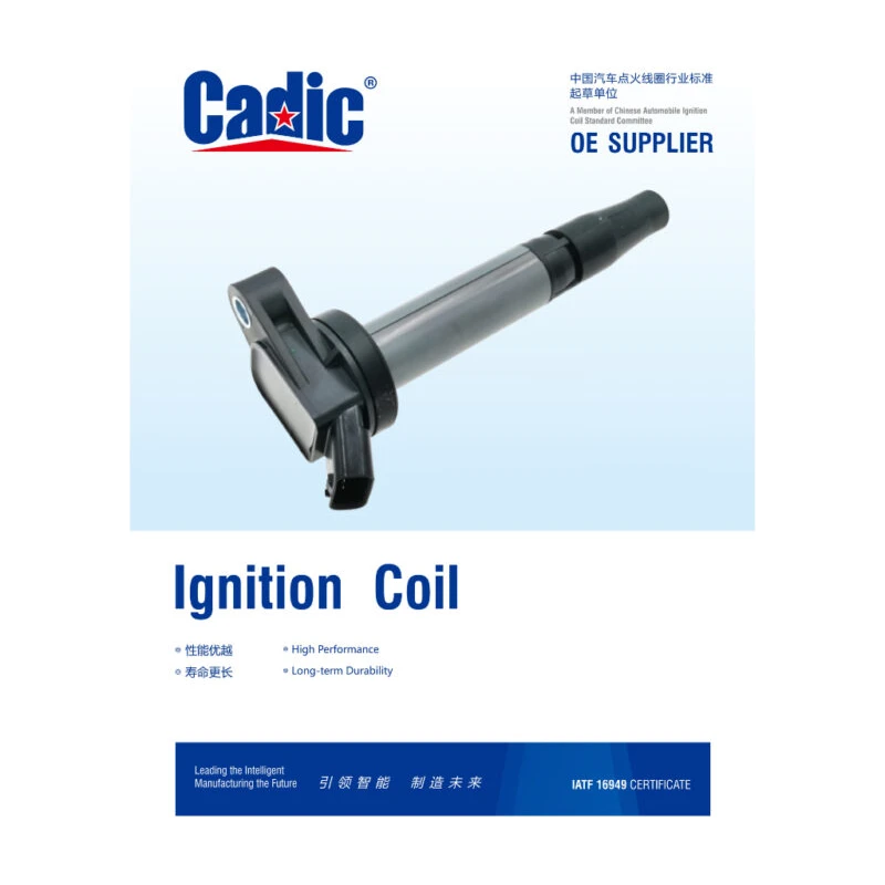 CADIC Original Toyota Rc350 Gsc10, Rx350 Gyl20 Ignition Plug Coil
