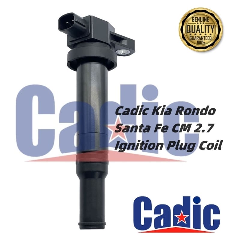 Cadic Orignal Kia Rondo, Hyundai Santa Fe CM 2.7 ignition Plug Coil