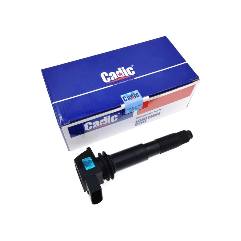 CADIC ORIGINAL PORSCHE CAYENNE 9PA 4.8 IGNITION PLUG COIL