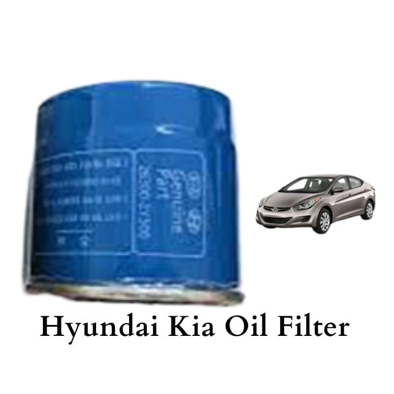 Hyundai Kia Oil Filter 26300-2Y500