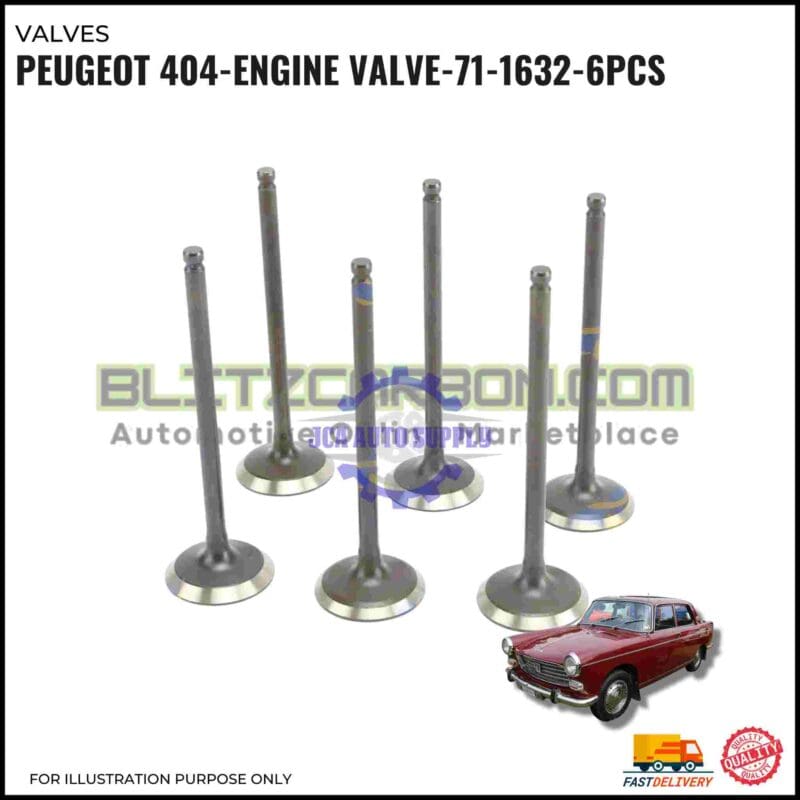 Engine Valve-Peugeot 404-71-1632